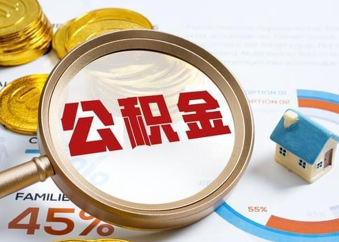 景德镇2025年政策调整对个人影响综合解析