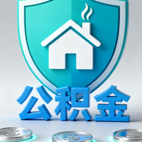 景德镇公积金代办行业观察：谁在提供专业服务？